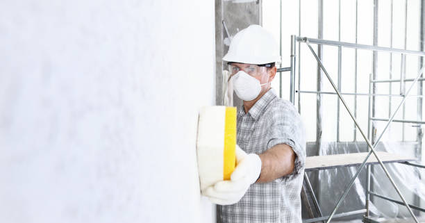 Why You Should Choose Our Mold Remediation Services in Minster, OH